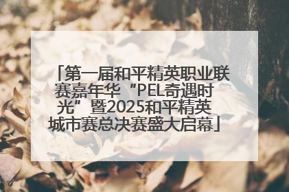 第一届和平精英职业联赛嘉年华“PEL奇遇时光”暨2025和平精英城市赛总决赛盛大启幕