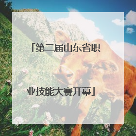 第二届山东省职业技能大赛开幕