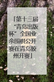 第十三届“青岛出版杯”全国业余围棋公开赛在青岛胶州开赛