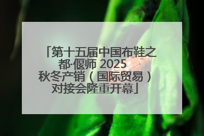 第十五届中国布鞋之都·偃师 2025 秋冬产销（国际贸易）对接会隆重开幕