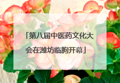 第八届中医药文化大会在潍坊临朐开幕