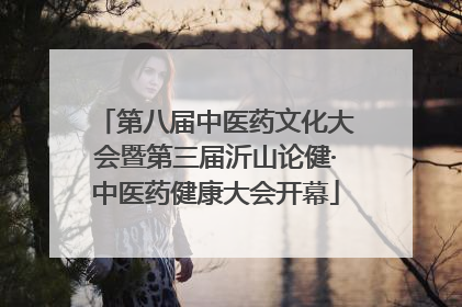 第八届中医药文化大会暨第三届沂山论健·中医药健康大会开幕