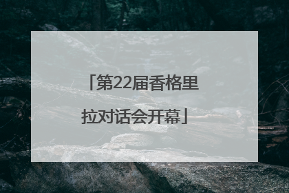 第22届香格里拉对话会开幕