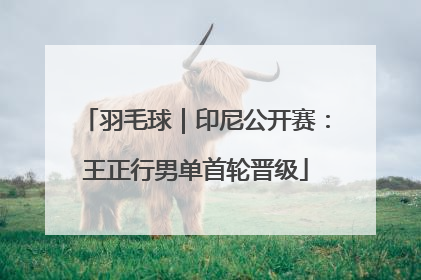 羽毛球｜印尼公开赛：王正行男单首轮晋级