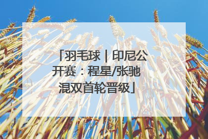 羽毛球｜印尼公开赛：程星/张驰混双首轮晋级