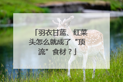 羽衣甘蓝、红菜头怎么就成了“顶流”食材？