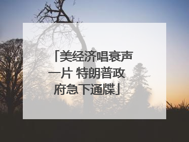 美经济唱衰声一片 特朗普政府急下通牒