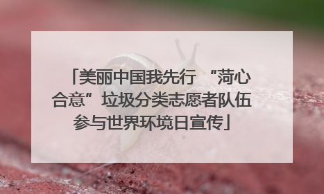 美丽中国我先行 “菏心合意”垃圾分类志愿者队伍参与世界环境日宣传