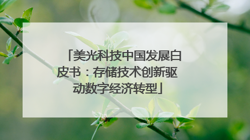 美光科技中国发展白皮书：存储技术创新驱动数字经济转型