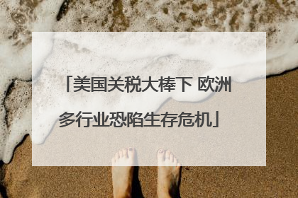 美国关税大棒下 欧洲多行业恐陷生存危机