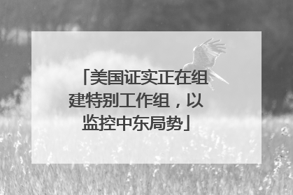 美国证实正在组建特别工作组，以监控中东局势