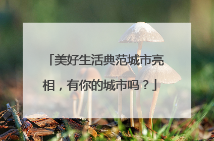 美好生活典范城市亮相，有你的城市吗？