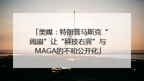 美媒：特朗普马斯克“闹崩”让“科技右翼”与MAGA的不和公开化