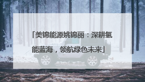 美锦能源姚锦丽：深耕氢能蓝海，领航绿色未来