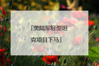 美陆军轻型坦克项目下马
