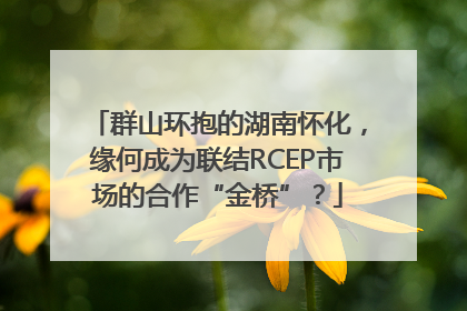 群山环抱的湖南怀化，缘何成为联结RCEP市场的合作“金桥”？