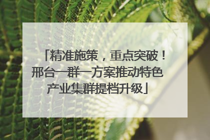 精准施策，重点突破！邢台一群一方案推动特色产业集群提档升级