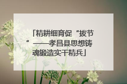 精耕细育促“拔节”——孝昌县思想铸魂锻造实干精兵