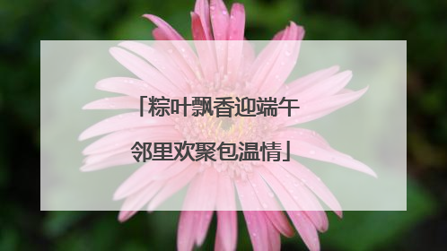 粽叶飘香迎端午 邻里欢聚包温情