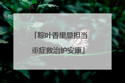 粽叶香里显担当 重症救治护安康