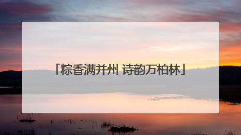 粽香满并州 诗韵万柏林
