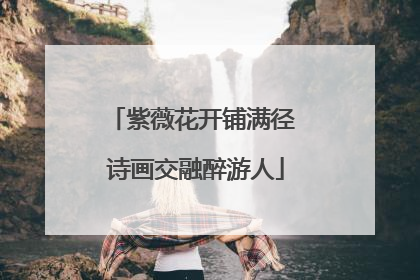 紫薇花开铺满径 诗画交融醉游人