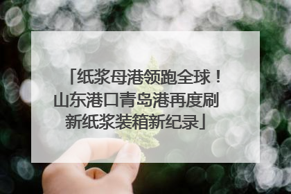 纸浆母港领跑全球！山东港口青岛港再度刷新纸浆装箱新纪录
