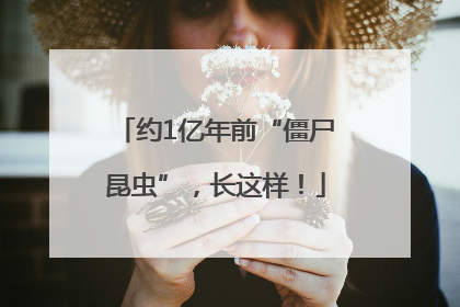 约1亿年前“僵尸昆虫”，长这样！