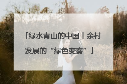 绿水青山的中国丨余村发展的“绿色变奏”