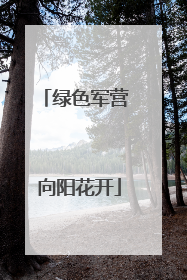 绿色军营 向阳花开