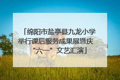 绵阳市盐亭县九龙小学举行课后服务成果展暨庆“六一”文艺汇演