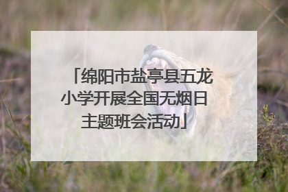 绵阳市盐亭县五龙小学开展全国无烟日主题班会活动