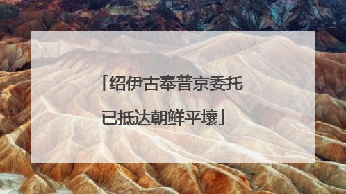 绍伊古奉普京委托已抵达朝鲜平壤