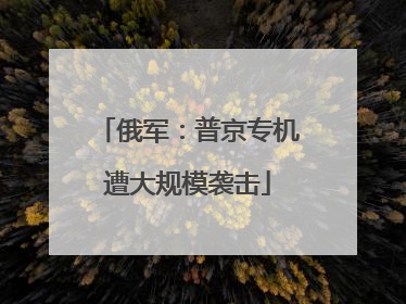 俄军：普京专机遭大规模袭击