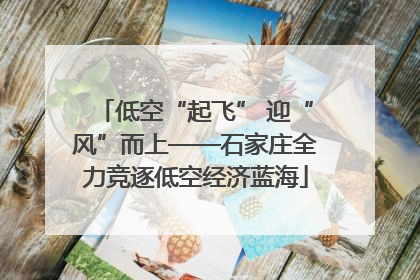 低空“起飞” 迎“风”而上——石家庄全力竞逐低空经济蓝海