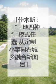 佳木斯：“一地四种” 模式任选 从定制小菜园看城乡融合新图景