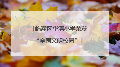 临潼区华清小学荣获“全国文明校园”