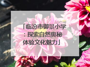 临汾市御景小学：探索自然奥秘 体验文化魅力