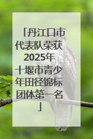 丹江口市代表队荣获2025年十堰市青少年田径锦标团体第一名
