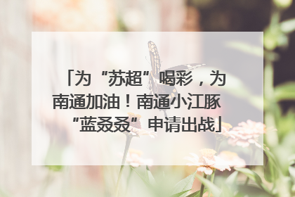 为“苏超”喝彩，为南通加油！南通小江豚“蓝叒叒”申请出战