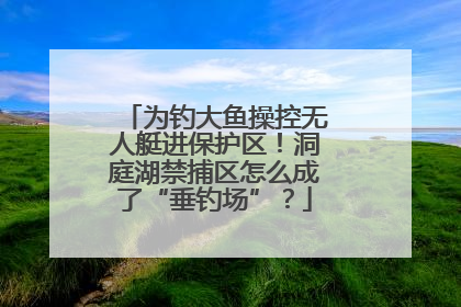 为钓大鱼操控无人艇进保护区！洞庭湖禁捕区怎么成了“垂钓场”？