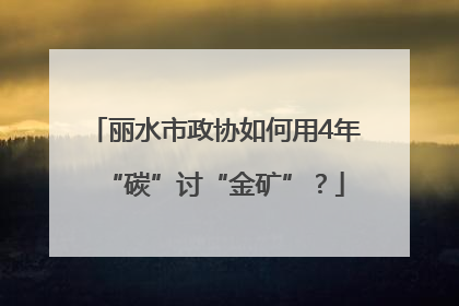 丽水市政协如何用4年“碳”讨“金矿”？