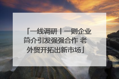 一线调研丨一则企业简介引发强强合作 老外贸开拓出新市场