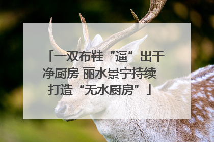 一双布鞋“逼”出干净厨房 丽水景宁持续打造“无水厨房”