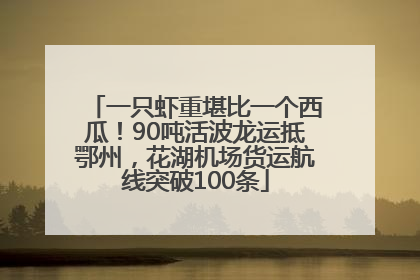一只虾重堪比一个西瓜！90吨活波龙运抵鄂州，花湖机场货运航线突破100条