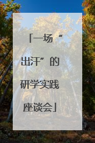 一场“出汗”的研学实践座谈会