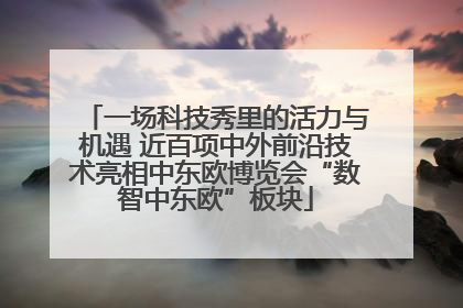 一场科技秀里的活力与机遇 近百项中外前沿技术亮相中东欧博览会“数智中东欧”板块