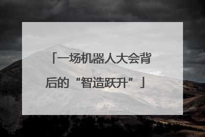 一场机器人大会背后的“智造跃升”