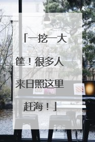 一挖一大筐！很多人来日照这里赶海！
