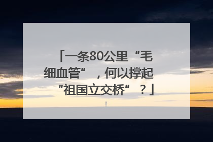 一条80公里“毛细血管”，何以撑起“祖国立交桥”？